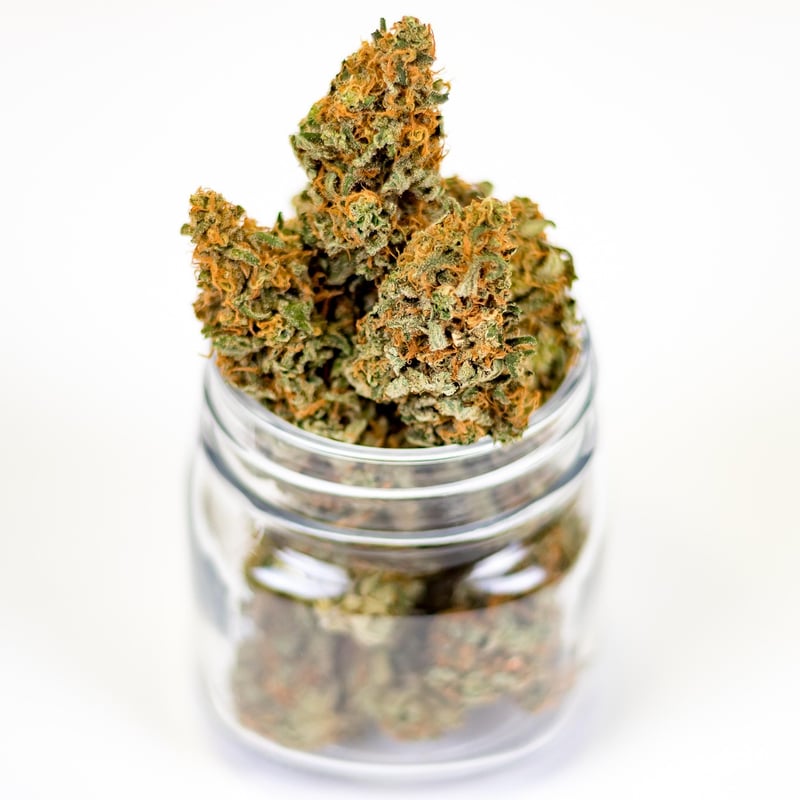 Medicinal Plants
