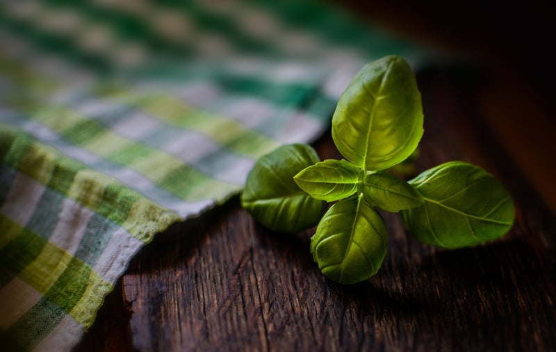 Spellbinding Herbs