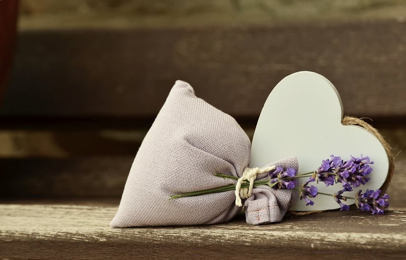 Lavender plant